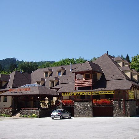 Hotel Altenberg Staré Hory Buitenkant foto