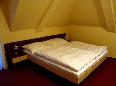 Hotel Altenberg Staré Hory Kamer foto