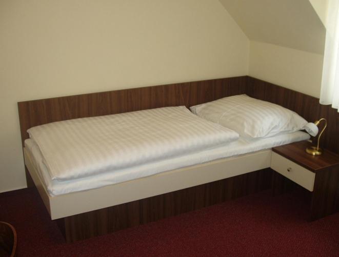 Hotel Altenberg Staré Hory Kamer foto