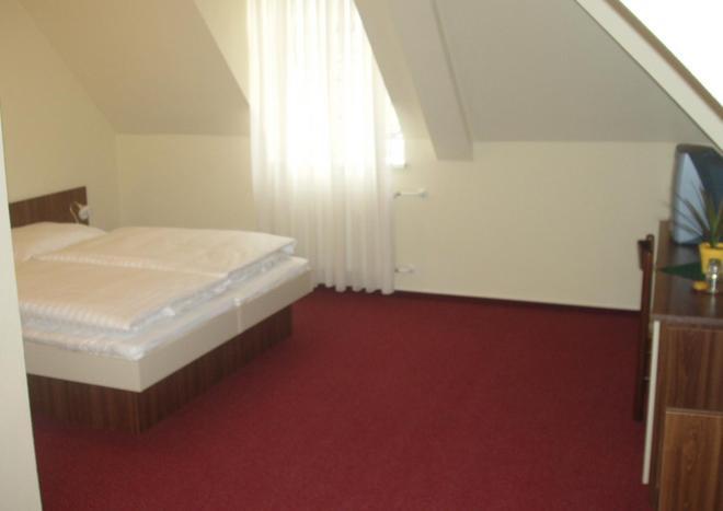 Hotel Altenberg Staré Hory Kamer foto